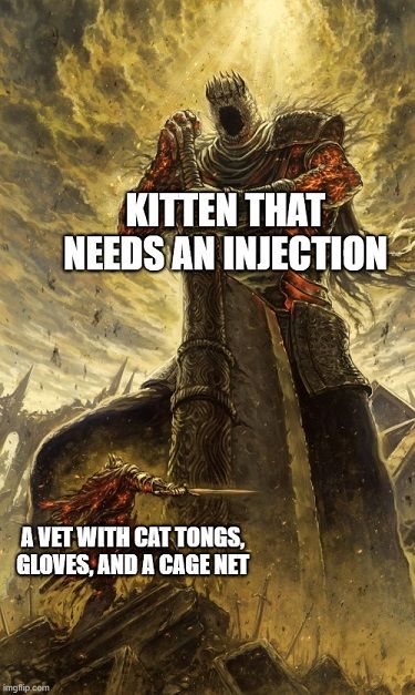 A giant in combat with text, 'Kitten that needs an injection,' versus a small knight with text, 'A vet with cat gloves.'
