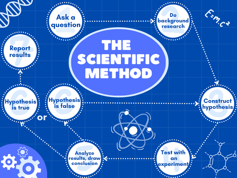 A flow chart showing the cyclical steps of the Scientific Method (audio description below).