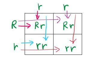 Punnet Square showing how letters are carried through the table.