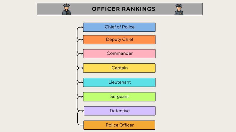 The chart represents the officer rankings. It starts from the bottom and goes in ascending order to the top. 