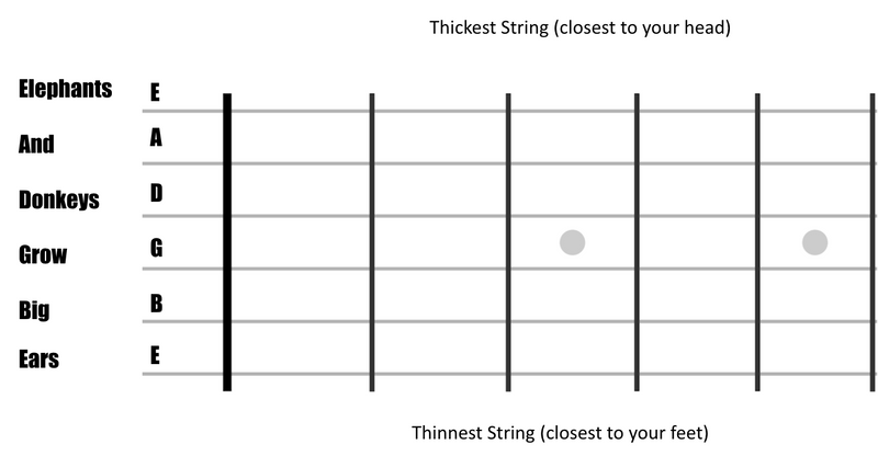 A diagram of strings from thickest to thinnest, lowest to highest notes: E, A, D, G, B, E.