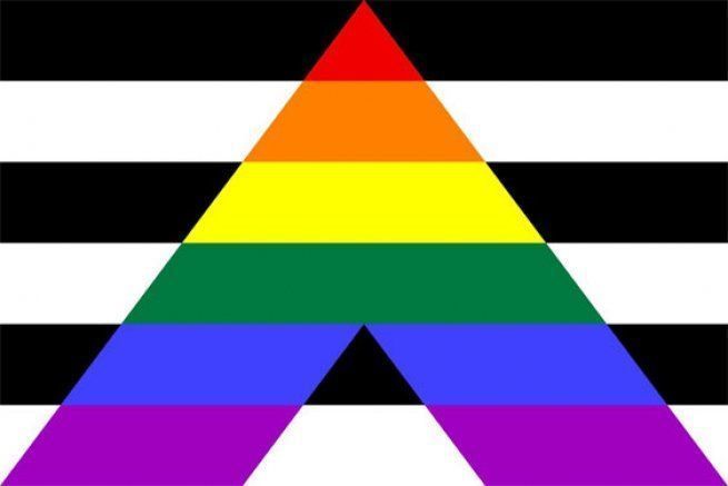 Flag with 6 stripes - alternating black and white with an upside down V coloured in the rainbow stripes