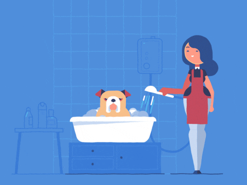 animated GIF of a female pet groomer giving a dog a bath in a bath tub.