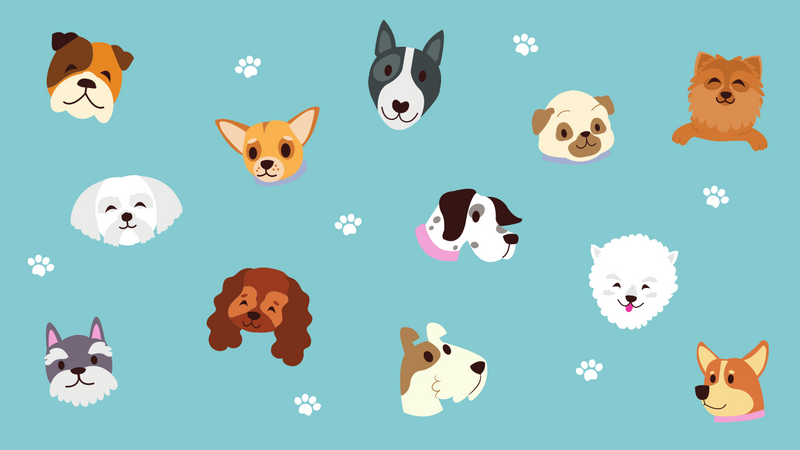 Zoom screen with cute puppy dogs and paws all over a blue background.