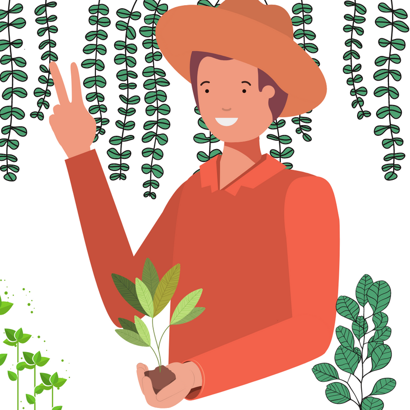 Graphic image of man with farmer's hat, holding plant, giving peace sign with plants in background.