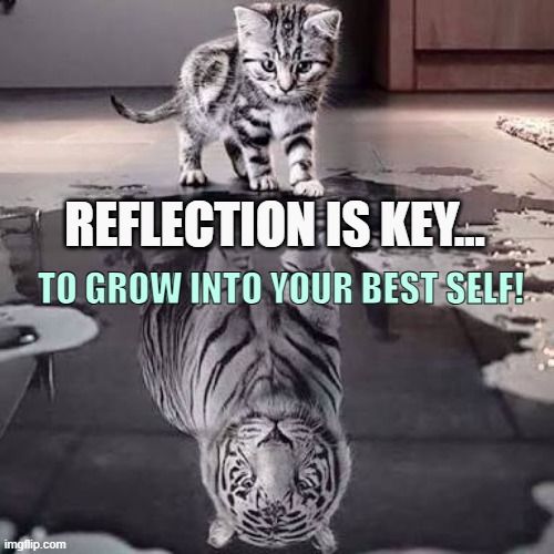 A small cat looks down at its reflection in a puddle, seeing itself as a powerful tiger. 