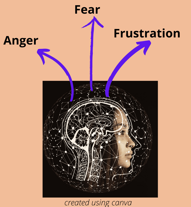 Image of a brain with text Anger, Fear, Frustration.