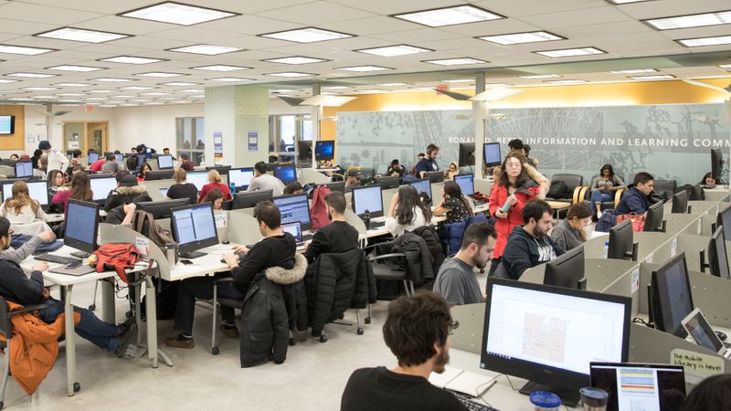 a group of students working at the library