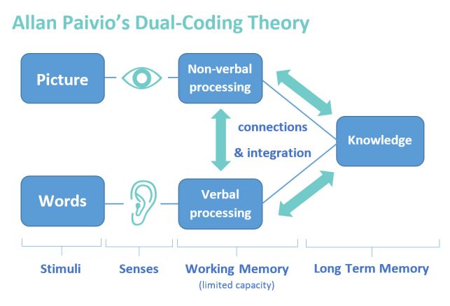 Diagram breaking down the dual-coding process. A text description is available below