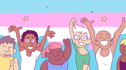 An animation of a group of people waving and cheering in front of a transgender pride flag
