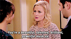 Leslie Knope telling someone, 'You're a beautiful, talented, brilliant, powerful musk ox.'