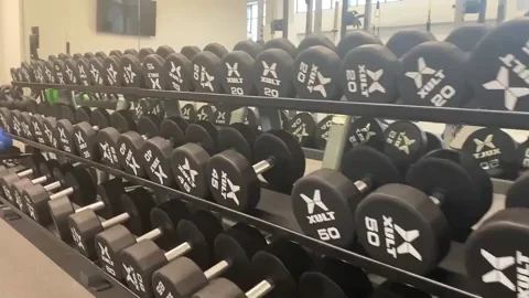 Many weights on a shelf in a gym