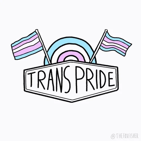 Trans Pride gif with trans flags by trans artist @TheFoxFisher.
