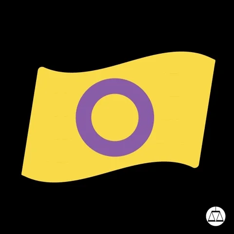 Animated GIF that shows the different pride flags