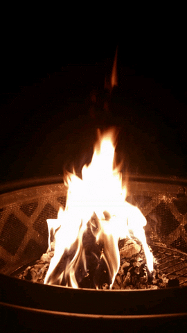 A small fire burns inside a metal fire ring