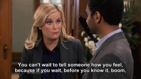 Leslie Knope from 'Parks and Recreations' talking about not waiting to tell someone how you feel.