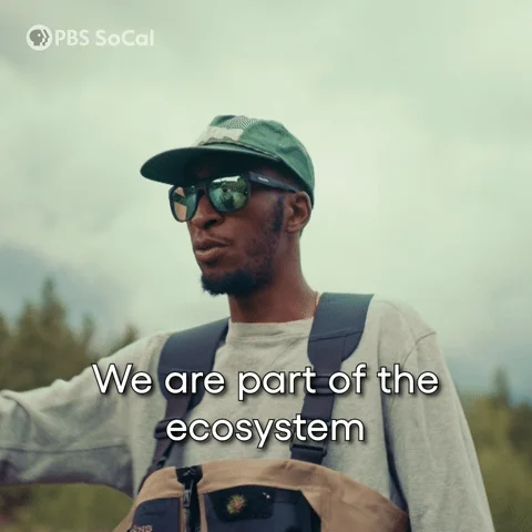 A man walking through a field says,