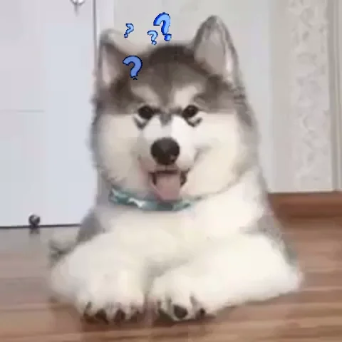 A puppy questioning himself.