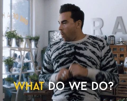 David Rose from Schitt's Creek asks, "What do we do?"