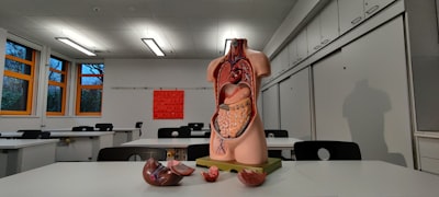 Image for Byte titled 'Should I study medicine?'
