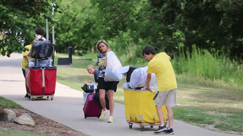 A group of students pushing suitcases and carrying plastic bags of clothes on pathway next to green grass. It is a sunny day.