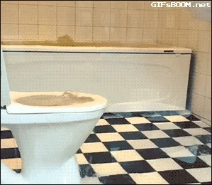 Bathroom featuring a bathtub, a toilet and a sink overflowing simultaneously
