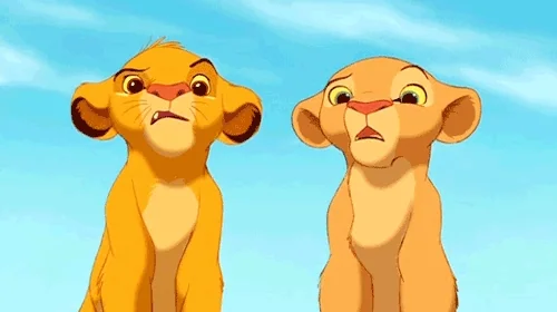 Two lions are confused.