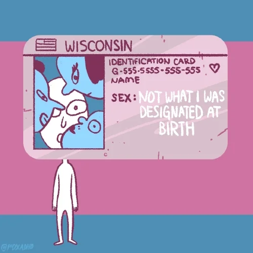 Driver's license for Wisconsin that has the sex label 'Not What I was Designated at Birth'.