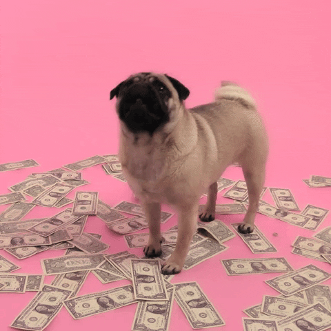 A dog surrounded by dollar bills, with the text 