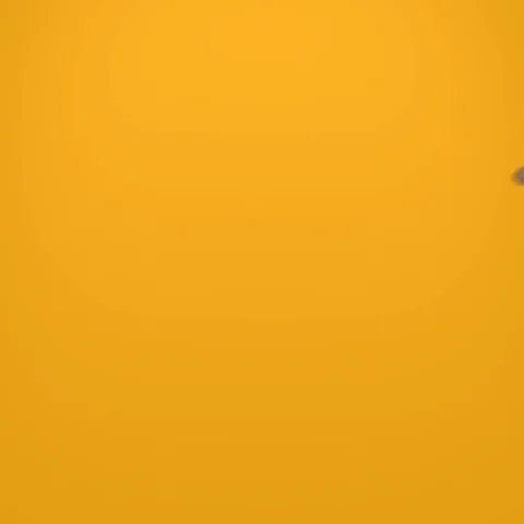 Two people shaking hands.