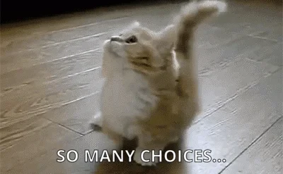 Cat looking around in excitment with the caption 'so many choices...'