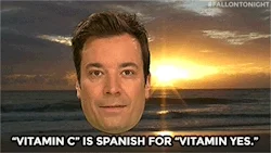 Jimmy Fallon's head floating above an ocean sunset. He says, 