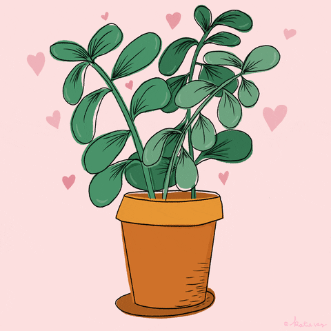 Animated image of a house plant with hearts surrounding it