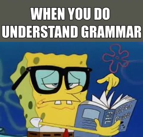 The cartoon character Sponge Bob Squarepants reading a book, with the caption, 'When you do understand grammar'.