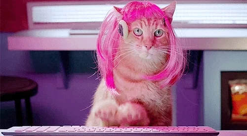 A cat with a pink wig wears a headset and types on a computer keyboard.