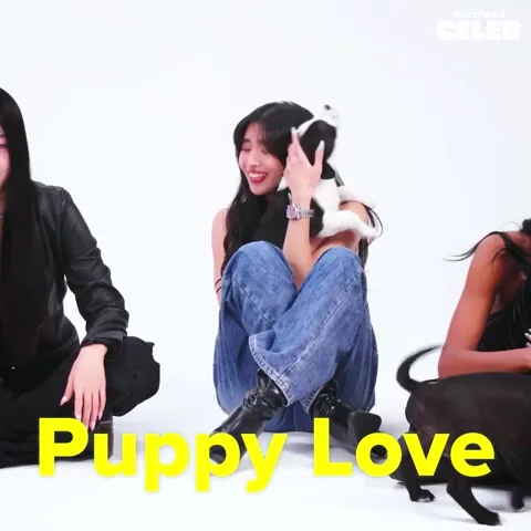 black pink with puppies