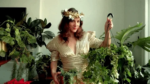 A woman standing indoors, wearing a flower crown, holding up a hanging plant basket while surrounded by plants.