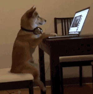 A dog with headphones around its neck sits at a table watching videos on a laptop