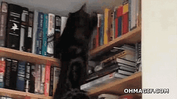 A black cat takes out books from a bookshelf and accidentally falls off