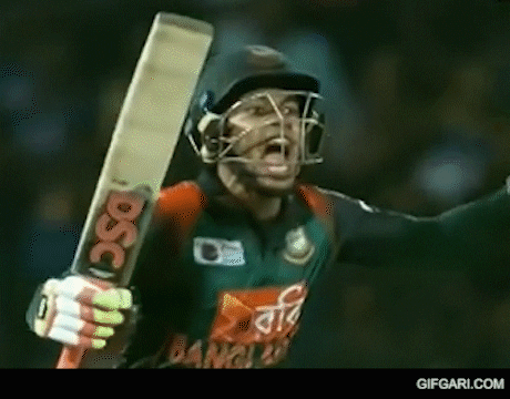 A cricket batter celebrating a win