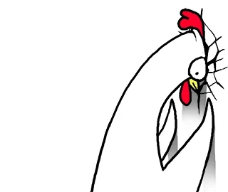 A chicken banging its head against a wall.