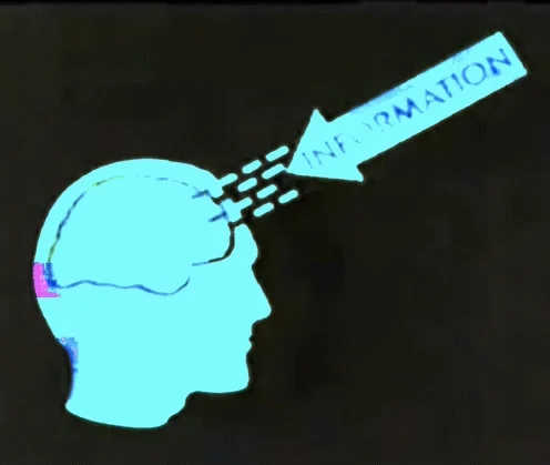Arrow with information pointing towards image of head and brain