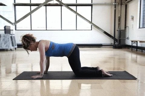A person in a yoga studio doing the downward dog yoga pose.