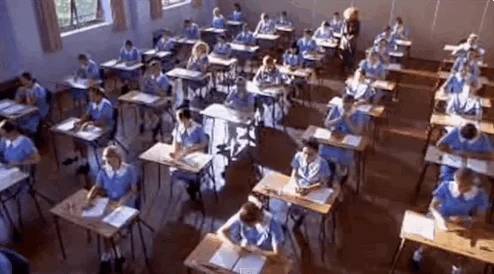 Students sit at desks and open their tests in an exam room.
