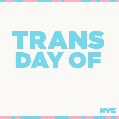 Trans Day of Visibility gif in trans colors