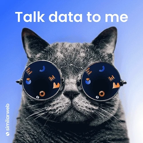 A cat looking at charts the viewer sees reflected in the cat's sunglasses. Text above the cat says, 