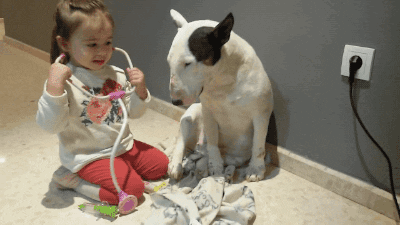 A girl putting a stethoscope to a dog's chest