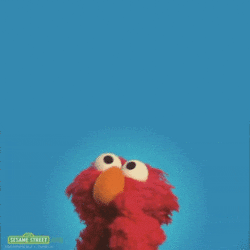 Elmo is thinking about being a Travel Curator  