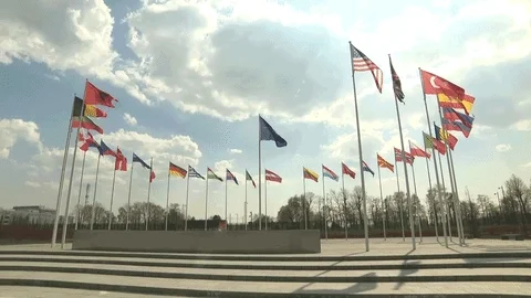 Flags of different nations at EU headquarters.