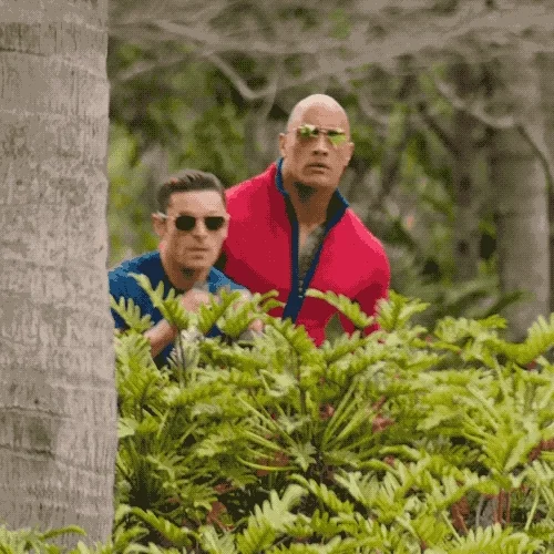 Zac Efron hiding behind bushes, watching someone with binoculars. The Rock is right behind him, watching as well.